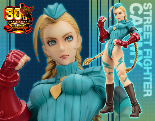 STREET FIGHTER Bishojyo Cammy -Zero Costume- 1/7 PVC Figure (Completed)