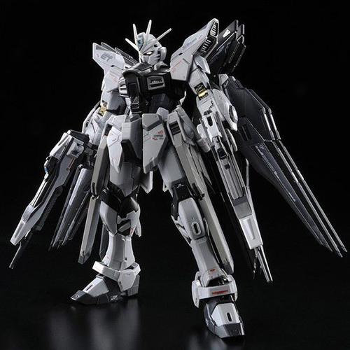RG 1/144 Strike Freedom Gundam DEACTIVE Mode Plastic Model ( JAN 2023 )