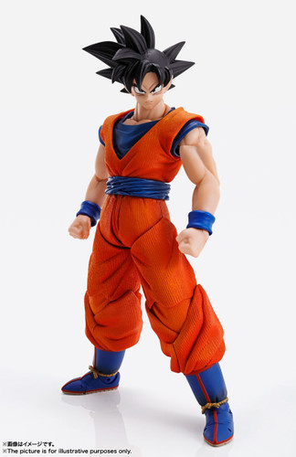 IMAGINATION WORKS Son Goku (Dragon BallZ) Action Figure