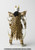 S.H.Figuarts (Shinkoccou Seihou) Kamen Rider N DAGUVA ZEBA Action Figure