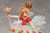 Sakura Kinomoto 1/7 PVC Figure Sakura Kinomoto 1/7 PVC Figure