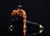 Street Fighter Fei Long 1/12 Action Figure Street Fighter Fei Long 1/12 Action Figure