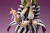 HORROR Bishoujo Beetlejuice 1/7 Complete Figure HORROR Bishoujo Beetlejuice 1/7 Complete Figure