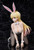 Sean Ari: Bunny Ver. (Bastard!! -Heavy Metal, Dark Fantasy-) 1/6 Complete Figure