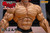 Yujiro Hanma (Baki Hanma) 1/6 Action Figure Yujiro Hanma (Baki Hanma) 1/6 Action Figure
