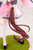 Sakura Chiyono O (Umamusume Pretty Derby) 1/7 Complete Figure Sakura Chiyono O (Umamusume Pretty Derby) 1/7 Complete Figure