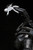 Artfx Death Trooper Specialist 1/7 PVC Figure Artfx Death Trooper Specialist 1/7 PVC Figure