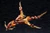 Arcanadea XenoAlma Blaze Ophis Plastic Model