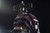 D-STYLE GUSTAV MOONBAY SPECIAL [Clear Parts Append] Plastic Model