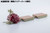 D-STYLE GUSTAV MOONBAY SPECIAL [Clear Parts Append] Plastic Model