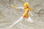 Megami Device B1R-L Chassis Kit Skin Color E 1/1 Plastic Model