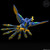 SMP [SHOKUGAN MODELING PROJECT] Power Animal Series Extra GaoPeacock & GaoCobra