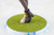 Umamusume Pretty Derby Grass Wonder 1/7 Complete Figure