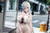 Cinderella - Beautiful Me (GODDESS OF VICTORY: NIKKE) 1/7 Complete Figure