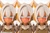 Megami Device YGGDRASIS SKOLL SHARPSHOOTER TEMPEST 1/1 Plastic Model