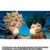 S.H.Figuarts Izuku Midoriya & Katsuki Bakugo Childhood Set (My Hero Academia) Action Figure