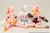 Megami Device PUNI MOFU SHIRO MAO 1/1 Plastic Model