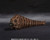 S.H.MonsterArts Mothra adult & Mothra Larval Special Color Ver. S.H.MonsterArts Mothra adult & Mothra Larval Special Color Ver.