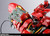 Formania EX Sazabi (Completed) Figure Formania EX Sazabi (Completed) Figure