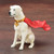 ARTFX+ Super Sons Jonathan Kent & Krypto 2 Pack 1/10 PVC Figure (Completed)