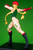 Street Fighter Bishojyo Cammy 1/7 PVC Figure (Completed)