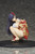 Pyonkichi Cover Illustration Shiki Tsuruga 1/6 PVC Figure