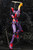 General-Purpose Humanoid Battle Weapon EVANGELION Test Type 01 Awakening Ver. 1/400 Plastic Model