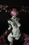 Devil Lady -The Extreme Devil- PVC Figure Devil Lady -The Extreme Devil- PVC Figure