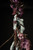 Devil Lady -The Extreme Devil- PVC Figure Devil Lady -The Extreme Devil- PVC Figure