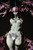 Devil Lady -The Extreme Devil- PVC Figure Devil Lady -The Extreme Devil- PVC Figure