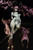 Devil Lady -The Extreme Devil- PVC Figure Devil Lady -The Extreme Devil- PVC Figure
