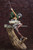 ARTFX J Attack on Titan - Mikasa Ackerman Renewal Package Ver. 1/8 PVC Figure ARTFX J Attack on Titan - Mikasa Ackerman Renewal Package Ver. 1/8 PVC Figure