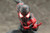 ARTFX+ Spider-Man (Miles Morales) Marvel Now! 1/10 PVC Figure ( Rerelease ) ARTFX+ Spider-Man (Miles Morales) Marvel Now! 1/10 PVC Figure ( Rerelease )