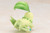 ARTFX J Pokemon - Lyra(Kotone) with Chikorita 1/8 PVC Figure 