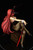FAIRY TAIL - Erza Scarlet Bunny Girl Style 1/6 PVC Figure