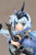 Frame Arms Girl Stylet -SESSION GO!!- PVC Figure 
