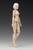 1/12 Scale Movable Body Female Type [A Version] Plastic Model