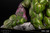 ARTFX PREMIER Hulk (MARVEL UNIVERSE) 1/10 PVC Figure ARTFX PREMIER Hulk (MARVEL UNIVERSE) 1/10 PVC Figure