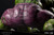 ARTFX PREMIER Hulk (MARVEL UNIVERSE) 1/10 PVC Figure ARTFX PREMIER Hulk (MARVEL UNIVERSE) 1/10 PVC Figure