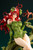 DC COMICS Bishoujo Poison Ivy Returns (DC UNIVERSE) 1/7 PVC Figure DC COMICS Bishoujo Poison Ivy Returns (DC UNIVERSE) 1/7 PVC Figure