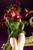DC COMICS Bishoujo Poison Ivy Returns (DC UNIVERSE) 1/7 PVC Figure DC COMICS Bishoujo Poison Ivy Returns (DC UNIVERSE) 1/7 PVC Figure