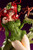 DC COMICS Bishoujo Poison Ivy Returns (DC UNIVERSE) 1/7 PVC Figure DC COMICS Bishoujo Poison Ivy Returns (DC UNIVERSE) 1/7 PVC Figure