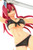 Erza Scarlet Swimsuit Gravure_Style (Fairy Tail) 1/6 PVC Figure