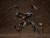 figma Warrior Bug (Starship Troopers: Traitor of Mars) Action Figure figma Warrior Bug (Starship Troopers: Traitor of Mars) Action Figure