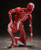 figma Human Anatomical Model Action Figure figma Human Anatomical Model Action Figure