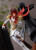 POP UP PARADE Crow (PERSONA5 the Animation) PVC Figure POP UP PARADE Crow (PERSONA5 the Animation) PVC Figure