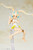Megami Device Asra Ninja Aoi 1/1 Plastic Model Megami Device Asra Ninja Aoi 1/1 Plastic Model