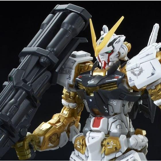 RG 1/144 GUNDAM ASTRAY GOLD FRAME Plastic Model