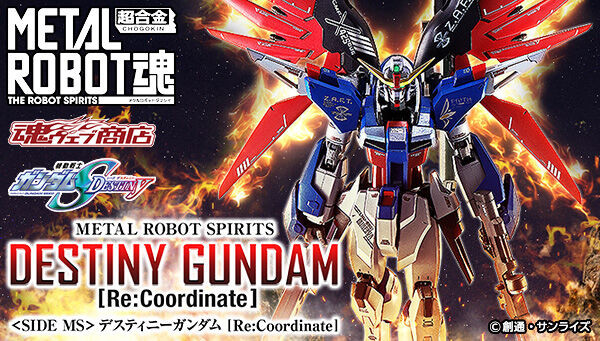 METAL ROBOT SPIRITS SIDE MS Destiny Gundam [Re:Coordinate] Action