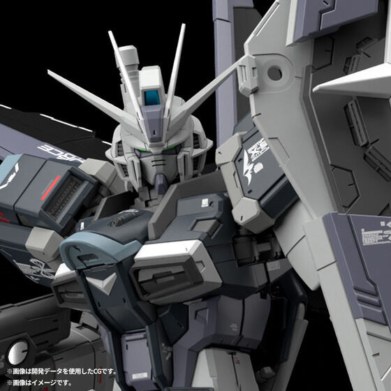 RG 1/144 FORCE IMPULSE GUNDAM DEACTIVE MODE Plastic Model
